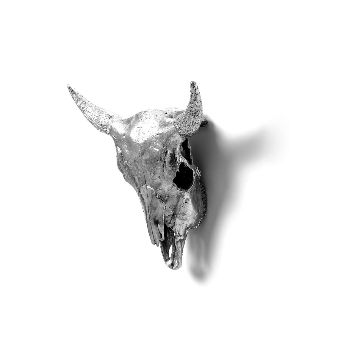 SELETTI DIESEL Wunderkrammer Crâne de Bison