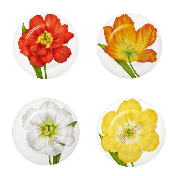 TAITÙ Freedom Dinner Plates 4 Pieces Flowers